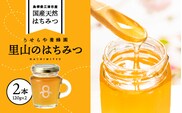 里山のはちみつ(120g×2本)セット 計240g RY-4 国産はちみつ はちみつ ハチミツ 蜂蜜