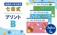 江津市限定返礼品 七田式プリントB 3歳半～5歳 しちだ 七田式プリント プリント 教育 教材 勉強 子ども 子供 セット SC-50
