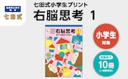 江津市限定返礼品 七田式小学生プリント 右脳思考1 【SC-69】 しちだ 七田式 小学生 小学1～6年生 プリント 問題集 思考力 トレーニング 子育て 教育 教材 勉強 子ども