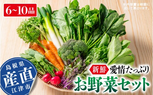 新鮮愛情たっぷりお野菜セット｜野菜 旬 新鮮 産地直送 リピ確定 美味しい 大好評 詰め合わせ セット SP-2