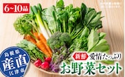 新鮮愛情たっぷりお野菜セット｜野菜 旬 新鮮 産地直送 リピ確定 美味しい 大好評 詰め合わせ セット SP-2