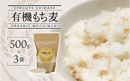 有機 もち麦 500g×3袋 （計1500g） SS-4 もち麦 麦 無農薬 雑穀 穀類 お米 ご飯 ヘルシー カロリー 腸活 食物繊維 健康 健康志向 有機栽培 チャック付き 計1500g