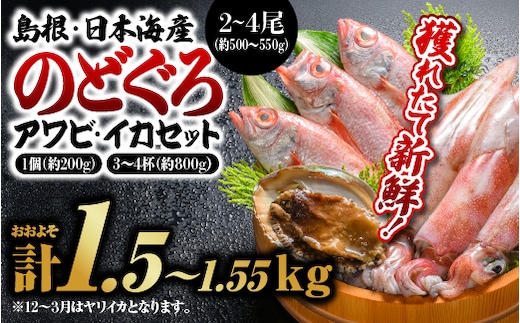 鮮魚セットA 【 のどぐろ2～4尾(約500g～550g)・イカ3～4杯(約800g)・アワビ(約200g×1) 】 計約1.5kg～1.55kg YM-1 漁解禁 受付再開 のどぐろ アワビ イカ 魚介類 魚貝類 貝 魚 鮮魚