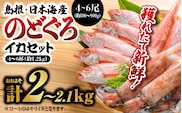 鮮魚セットB 【 のどぐろ4～6尾(約800g～900g)・イカ4～6杯 】 計約1.2kg YM-2 漁解禁 受付再開 のどぐろ イカ 島根 山陰 日本海産 魚介類 魚貝類 海産 海産物 魚 鮮魚 下処理済