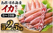 鮮魚セットC 【 イカ (8～10杯) 約2.5kg 】 YM-3 イカ 島根 山陰 日本海産 魚介類 魚貝類 海産 海産物 鮮魚 剣先イカ ヤリイカ 下処理済 煮付け 刺身 さしみ 厳選