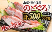 鮮魚 セット D 【 のどぐろ 2～4尾 計約500g～550g 】 YM-4 漁解禁 受付再開 ノドグロ 島根 山陰 日本海産 魚介類 魚貝類 海産物 下処理済 煮付け 焼き魚 焼魚 魚 鮮魚 新鮮 厳選