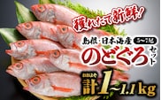 鮮魚 セット F 【 のどぐろ 5～7尾 計約1kg～1.1kg 】 YM-6 漁解禁 受付再開 ノドグロ 島根 日本海産 魚介類 魚貝類 海産物 下処理済 煮付け 鮮魚 新鮮 ８月下旬～翌年5月末お届け