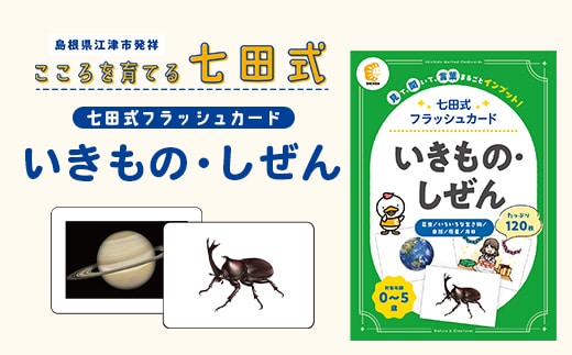 七田式 フラッシュカード かな絵ちゃんシリーズ いきもの・しぜん SC-72 | しちだ 幼児教育 言葉 絵 右脳 記憶力 子育て 教育 教材 子ども 語彙力 発想力 イメージ力 リニューアル カードフラッシュ 絵カード