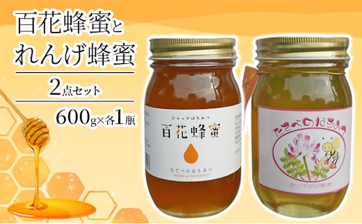 ＜ れんげ 蜂蜜 ＞と＜ 百花 蜂蜜 ＞の2点 セット はちみつ 加工食品 