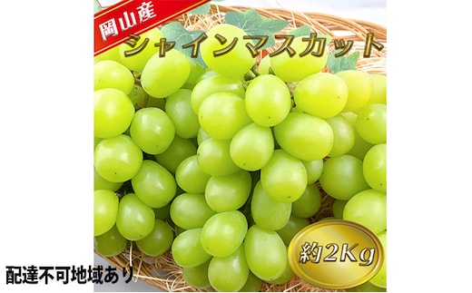 ぶどう 2026年 先行予約 シャイン マスカット 【9月上旬～順次発送分】約2kg 糖度抜群！ ブドウ 葡萄 岡山県産 国産 フルーツ 果物 ギフト 果物類 