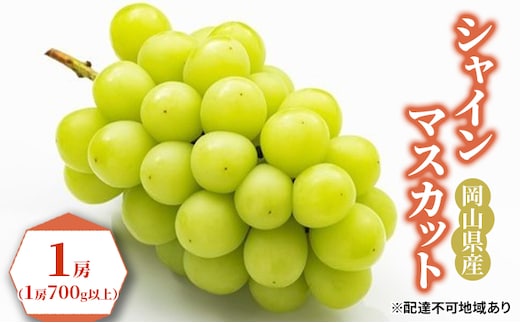 ぶどう 2026年 先行予約 シャイン マスカット 1房（1房700g以上）化粧箱入り ブドウ 葡萄 岡山県産 国産 フルーツ 果物 ギフト 果物類 シャインマスカット 