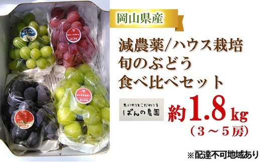 ぶどう 2026年 先行予約 旬のぶどう食べ比べセット 約1.8kg 3～5房 減農薬／ハウス栽培 ブドウ 葡萄 岡山県産 国産 フルーツ 果物 ギフト ばんの農園 マスカット 