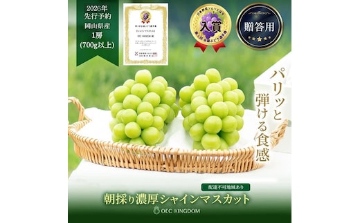 ぶどう 2026年 先行予約 プレミアム シャインマスカット 1房（700g以上） 大粒 大房 贈答クラス ブドウ 葡萄 岡山県産 国産 フルーツ 果物 ギフト OEC KINGDOM ぶどう家 果物類 