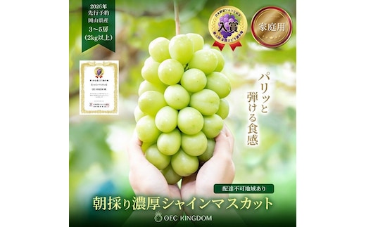 ぶどう 2026年 先行予約 ［ご家庭用］ シャイン マスカット3～5房（合計2kg以上） ブドウ 葡萄 岡山県産 国産 フルーツ 果物 OEC KINGDOM ぶどう家 果物類 