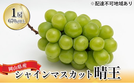 ぶどう 2026年 先行予約 シャイン マスカット 晴王 1房（1房670g以上）化粧箱入り マスカット ブドウ 葡萄 岡山県産 国産 フルーツ 果物 ギフト 果物類 大粒 