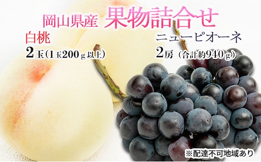 桃 ぶどう 2026年 先行予約 果物詰合せ 白桃 2玉（1玉200g以上） ニュー ピオーネ 2房（合計約940g）化粧箱入り 岡山県産 国産 フルーツ ギフト もも セット 