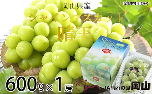 ぶどう 2026年 先行予約 シャイン マスカット 晴王 約600g×1房 ブドウ 葡萄 岡山県産 国産 フルーツ 果物 ギフト 種なし 大粒 美しい 弾力 高糖度 甘い 種なしぶどう 