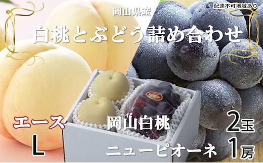 ぶどう 2026年 先行予約 岡山 白桃 エース 2玉×約200g（Lサイズ、早生種・中生種）ニュー ピオーネ 1房約400g 詰め合わせ 岡山県産 フルーツ 