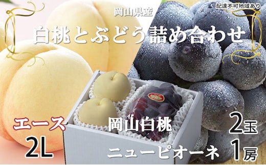 桃 ぶどう 2026年 先行予約 岡山 白桃 エース 2玉×約250g（2Lサイズ、早生種・中生種）ニュー ピオーネ 約500g×1房 詰め合わせ 岡山県産 フルーツ 