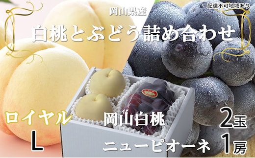 桃 ぶどう 2026年 先行予約 岡山 白桃 ロイヤル 2玉×約200g（Lサイズ、早生種・中生種）ニュー ピオーネ 1房約400g 詰め合わせ 岡山県産 フルーツ 