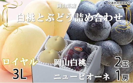 桃 ぶどう 2026年 先行予約 岡山 白桃 ロイヤル 2玉×約300g（3Lサイズ、早生種・中生種）ニュー ピオーネ 1房約600g 詰め合わせ 岡山県産 フルーツ 
