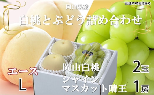 桃 ぶどう 2026年 先行予約 岡山 白桃 エース 2玉×約200g（Lサイズ、早生種・中生種）シャイン マスカット 晴王 1房約400g 詰め合わせ 岡山県産 フルーツ 