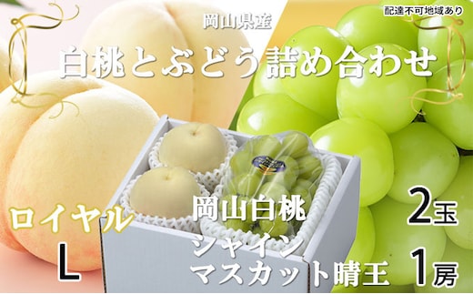 桃 ぶどう 2026年 先行予約 岡山 白桃 ロイヤル 2玉×約200g（Lサイズ、早生種・中生種）シャイン マスカット 晴王 1房約400g 詰め合わせ 岡山県産 フルーツ 