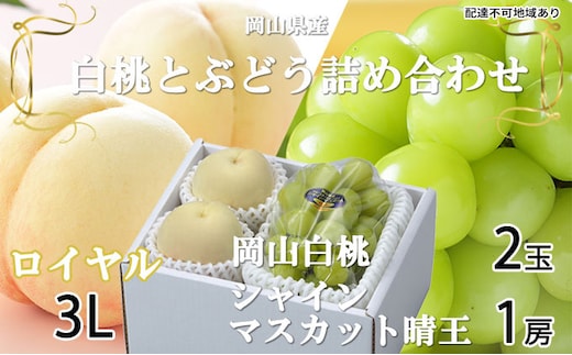 桃 ぶどう 2026年 先行予約 岡山 白桃 ロイヤル 2玉×約300g（3Lサイズ、早生種・中生種）シャイン マスカット 晴王 1房約600g 詰め合わせ 岡山県産 フルーツ 