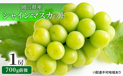 シャインマスカット 1房 700g前後 岡山県産 葡萄 ぶどう 果物 フルーツ 2023年 先行予約 デザート おやつ 大粒 高い 糖度 種なし パリッ 弾力 食感 皮ごと 