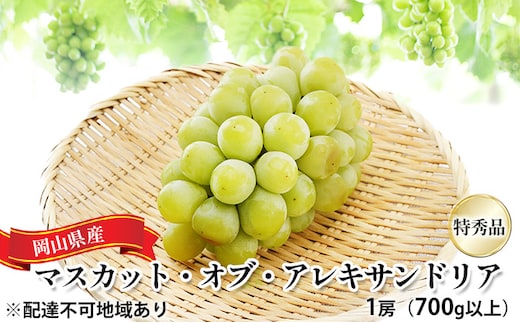 ぶどう 2026年 先行予約 マスカット・オブ・アレキサンドリア 特秀品 1房（1房700g以上）化粧箱入り 葡萄 岡山県産 国産 フルーツ ギフト 果物 食後 デザート 高級ぶどう 爽やか 