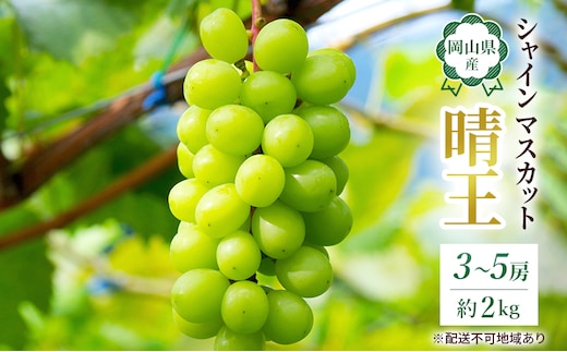 ぶどう 2026年 先行予約 岡山 名産 晴王 シャイン マスカット たっぷり2kg！9月上旬以降順次発送 ギフトにも ブドウ 葡萄 岡山県産 国産 フルーツ 果物 種なし 皮ごと 濃厚な甘み 上品な香り 