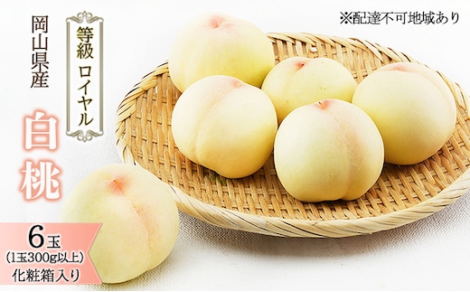 桃 2026年 先行予約 白桃 6玉（1玉300g以上）等級： ロイヤル 化粧箱入り もも モモ 岡山県産 国産 フルーツ 果物 ギフト 最高等級品 糖度12.0度以上 芳潤な香り贈答用 果汁滴る 