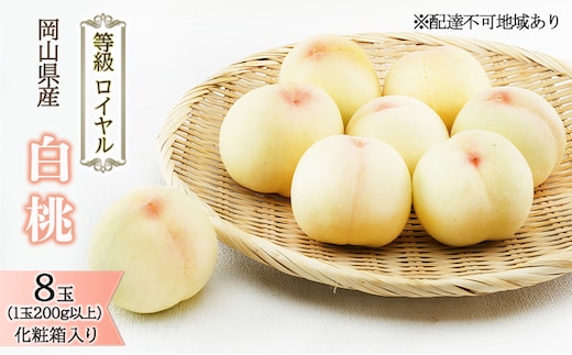 桃 2026年 先行予約 白桃 8玉（1玉200g以上）等級： ロイヤル 化粧箱入り もも モモ 岡山県産 国産 フルーツ 果物 ギフト 最高等級品 糖度12.0度以上 芳潤な香り贈答用 果汁滴る 