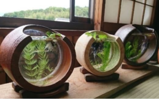 【東児の花窯】備前焼 めだか鉢 ベージュ 緋襷（ひだすき） 民芸品 工芸品 インテリア 