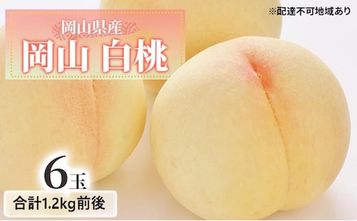桃 2026年 先行予約 白桃 6玉入り 合計1.2kg前後 もも モモ 岡山県産 国産 フルーツ 果物 ギフト デザート 芳醇な香り 岡山の桃 