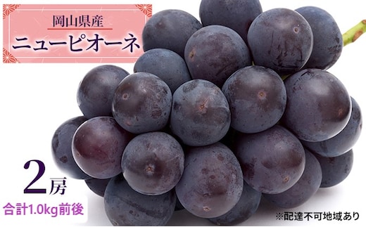 ぶどう 2026年 先行予約 ニュー ピオーネ 2房 合計1.0kg前後 ブドウ 葡萄 岡山県産 国産 フルーツ 果物 ギフト デザート 食後 種なし 大粒 甘みが強い 酸味 バランス 