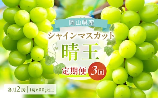 ぶどう 定期便 2026年 先行予約 シャイン マスカット 晴王 各月2房（1房600g以上） 3回コース マスカット ブドウ 葡萄 岡山県産 国産 フルーツ 果物 ギフト 上品な香り 最高級 大粒 種なし 皮ごと 