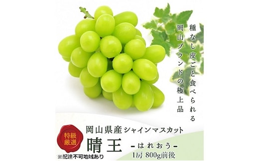 ぶどう 2026年 先行予約 シャイン マスカット 晴王 1房 800g前後 ブドウ 葡萄 岡山県産 国産 フルーツ 果物 ギフト 岡山のブドウ デザート 食べ物 日本産 