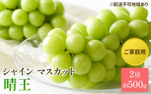 ぶどう 2026年 先行予約 ご家庭用 シャイン マスカット 晴王 約500g×2房 ブドウ 葡萄 岡山県産 国産 フルーツ 果物 太陽 美しい 外観 大粒 高糖度 種なし 皮ごと 弾力 食感 美味しい 