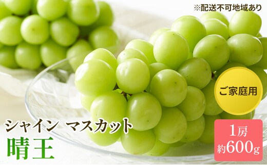 ぶどう 2026年 先行予約 ご家庭用 シャイン マスカット 晴王 約600g×1房 ブドウ 葡萄 岡山県産 国産 フルーツ 果物 太陽 美しい 外観 大粒 高糖度 種なし 皮ごと 弾力 食感 美味しい 