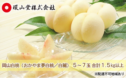 桃 2026年 先行予約 岡山 白桃（品種：おかやま夢白桃／白麗）5～7玉 合計1.5kg以上 もも モモ 岡山県産 国産 フルーツ 果物 ギフト 環山堂 