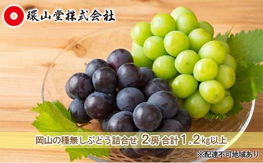 ぶどう 2026年 先行予約 種無し ぶどう 詰合せ 2房 合計1.2kg以上 マスカット ブドウ 葡萄 岡山県産 国産 フルーツ 果物 ギフト 環山堂 