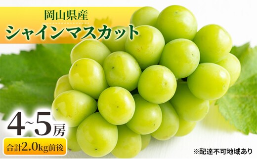 ぶどう 2025年 先行予約 シャインマスカット 晴王 4～5房 合計2.0kg前後 マスカット ブドウ 葡萄 岡山県産 国産 フルーツ 果物 ギフト 