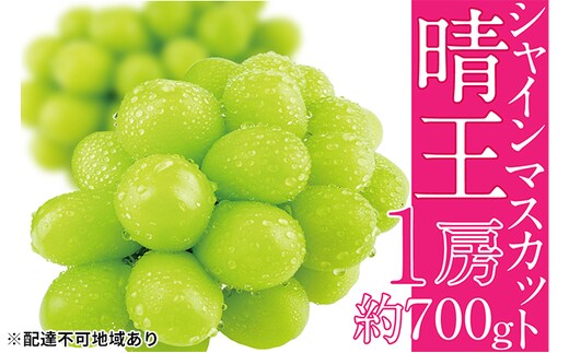ぶどう 2026年 先行予約 シャイン マスカット 晴王 1房 約700g ブドウ 葡萄 岡山県産 国産 フルーツ 果物 ギフト 