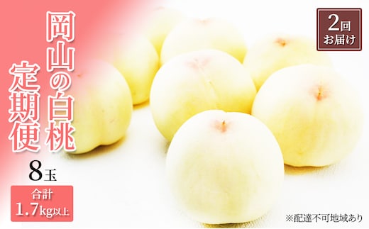 桃 定期便 2026年 先行予約 岡山 の 白桃 8玉 合計1.7kg以上×2回 お届け 化粧箱入り もも モモ 岡山産 国産 フルーツ 果物 ギフト 