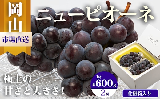 ぶどう 2026年 先行予約 ニュー ピオーネ 2房（1房600g以上）化粧箱入り ブドウ 葡萄 岡山県産 国産 フルーツ 果物 ギフト 