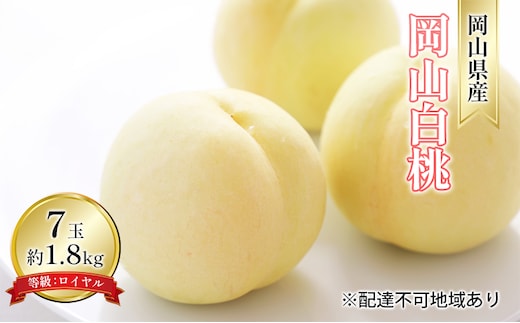 桃 2026年 先行予約 岡山 白桃 7玉 約1.8kg 等級：ロイヤル（1玉 260g以上） もも モモ 岡山県産 国産 フルーツ 果物 ギフト 