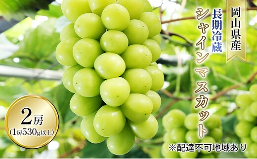 ぶどう 2026年 先行予約 長期冷蔵 シャイン マスカット 2房入り（1房 530g以上） ブドウ 葡萄 岡山県産 国産 フルーツ 果物 ギフト 