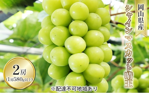 ぶどう 2026年 先行予約 シャイン マスカット 晴王 2房入り（1房 580g以上 露地栽培） ブドウ 葡萄 岡山県産 国産 フルーツ 果物 ギフト 