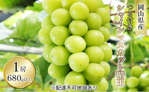 ぶどう 2026年 先行予約 つる付き シャイン マスカット 晴王 1房 680g以上（露地栽培） ブドウ 葡萄 岡山県産 国産 フルーツ 果物 ギフト 